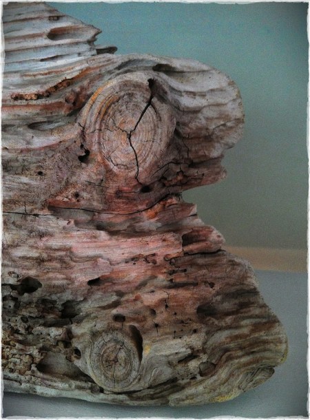 DriftwoodStudyBokeh3 2