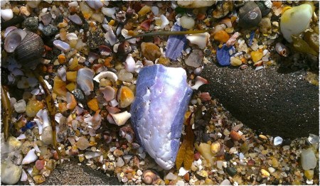 IMG_5436bBokeh2GrainMidtoneGrit2CroppedFrayed