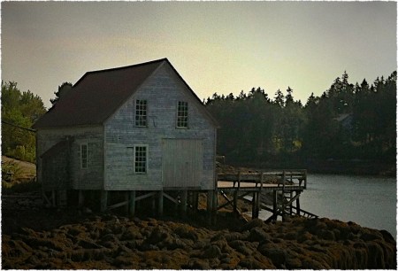 IMG_5978bVignetteSharpenGrainMidtoneFrayed 2