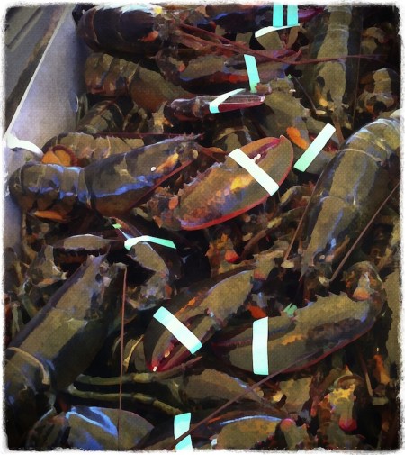 PainterlyLobstersBokeh2fullflip 2