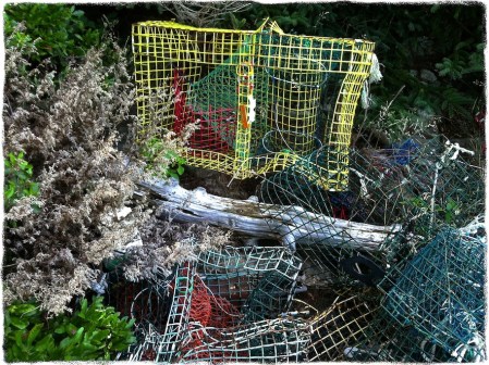 StormTossedTrapsBokeh3Grit 2