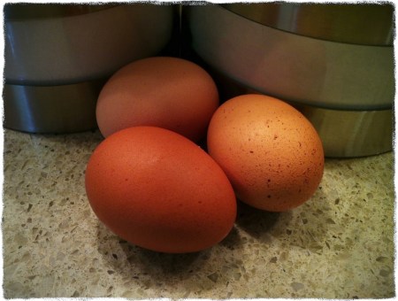 EggsBokeh1vertflipMidtoneColorFilterGrit 2