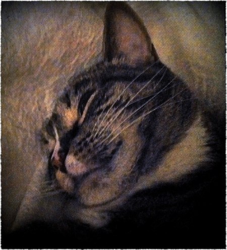 PeacefulNight330AMFrayed 2