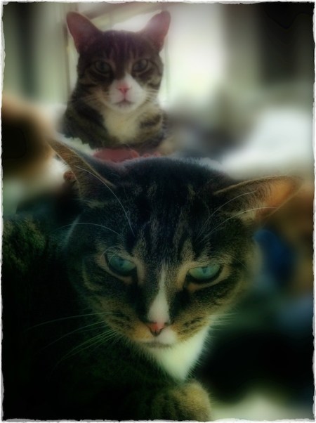 PostVacationWelcomingCommittee 2