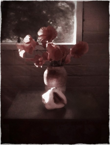 VaseRevisitedBokeh2vertflipGrainMidtone 2