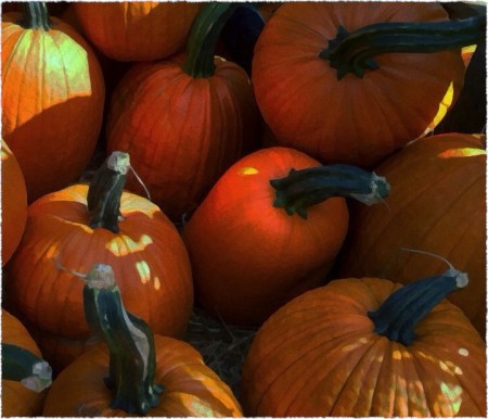 PumpkinComposite3Bokeh3GrainMidtoneFrayed 2