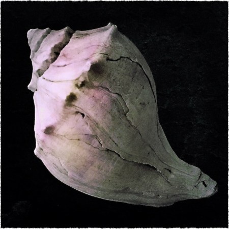 ShellCompositieAgainFrayed 2