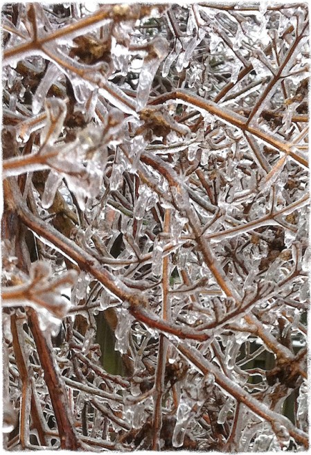 IceStorm5:Bokeh2vertflipMidtoneGrit 2