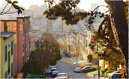 FootOfTelegraphHillSatSharpenMidtoneFrayed 2