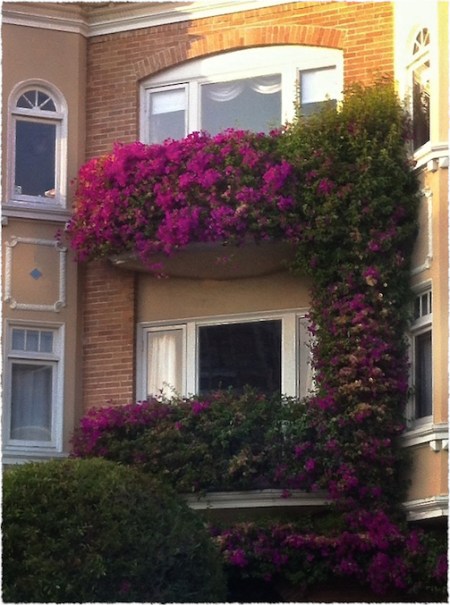 HouseWithPurpleFlowersBokeh1horzflipFrayed 2