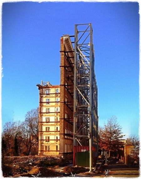 TeaOPpolicyPositions