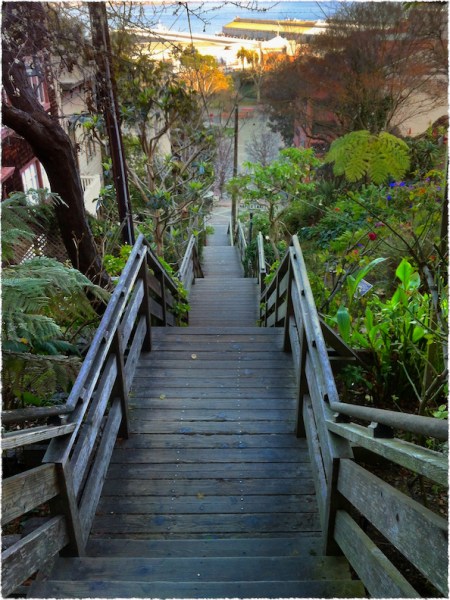 VertigoPt2Bokeh1MidtoneGrainFrayed 2