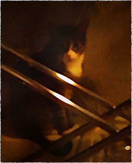 Processed with VSCOcam with m4 preset