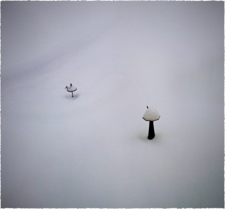 SnowpocalypseSharpenBokeh1Frayed 2