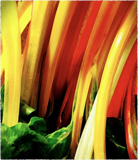 SwissChardEnfusion1Bokeh1vertflipMidtoneSatFrayed 2