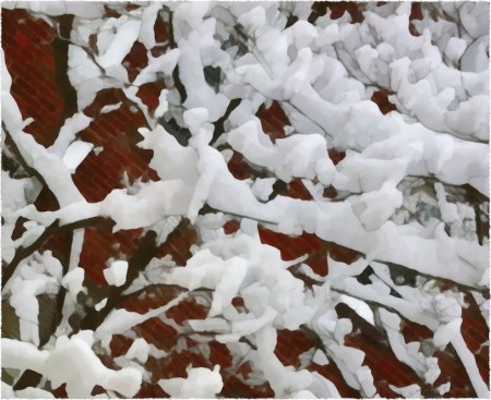 SnowBough3Overpainted2Frayed 2