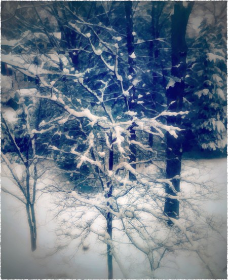 SnowCompositeBokeh1Frayed 2