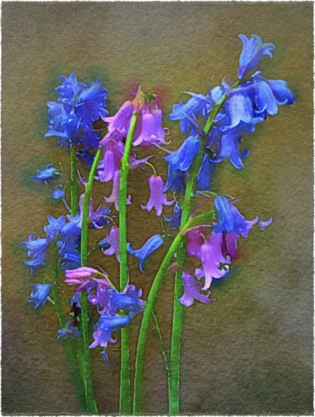 WaterlogueEnfusion3Frayed2