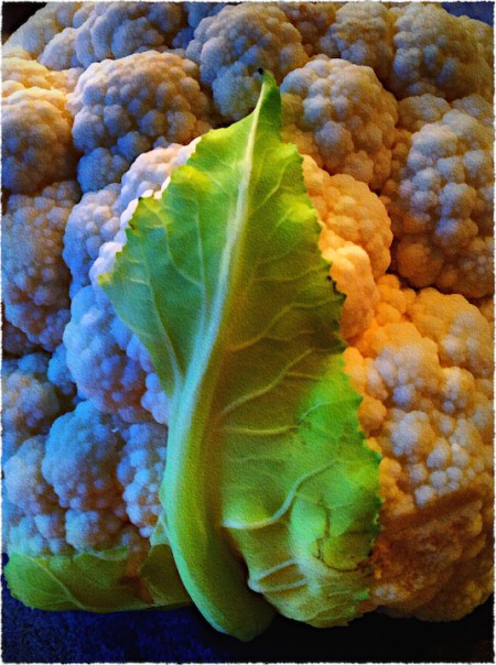 CauliflowerCompositeStuccoBokeh1SharpenFrayed 2