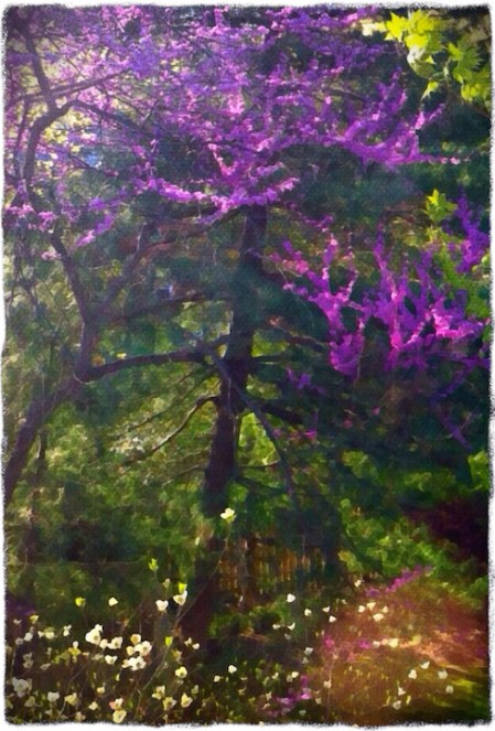 GardenGateOldPaperColorFilterMidtoneGrit 2