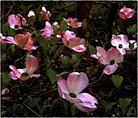 OverpaintedDogwoodsFinal