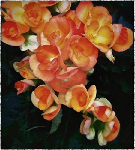 renaissanceduskenfusion2frayed