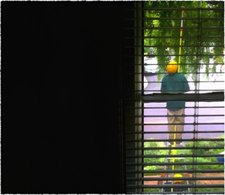 ArboristsFinalCrop 2