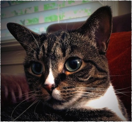 DramaticEllaFrayed 2