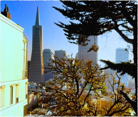 SFrevisitedGrainFrayed 2