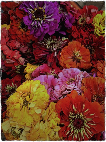 FlowersCandidate1_2AbsoClearMicroSharpCrispBokeh2Grit 2