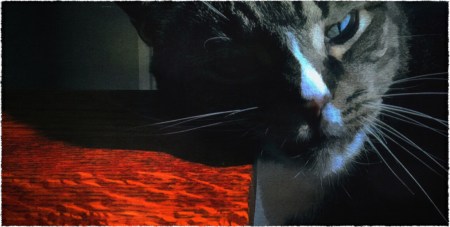 SunbeamCropOldPaperMidtoneBokeh2Frayed 3