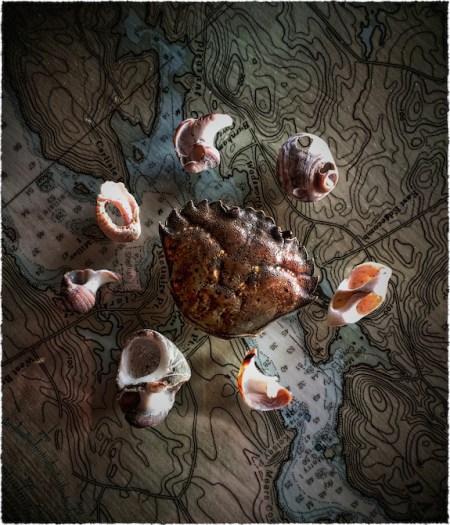 CoastalStillLifeIntensifyBokeh1VignetteGrainFrayed2Snapheal