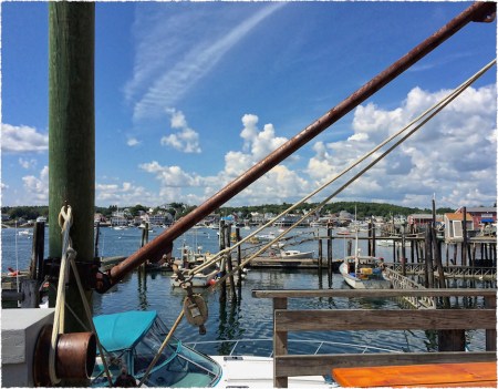 IMG_5984bDenoise2Frayed 2