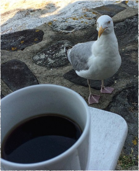 IMG_6841b2ArchiDetailFrayed 2