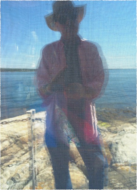 SelfPortaitInDoublePaneGlassAndWindowScreenFrayed 2