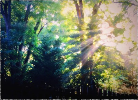 SmokeSunsetComposite1_2Frayed 2