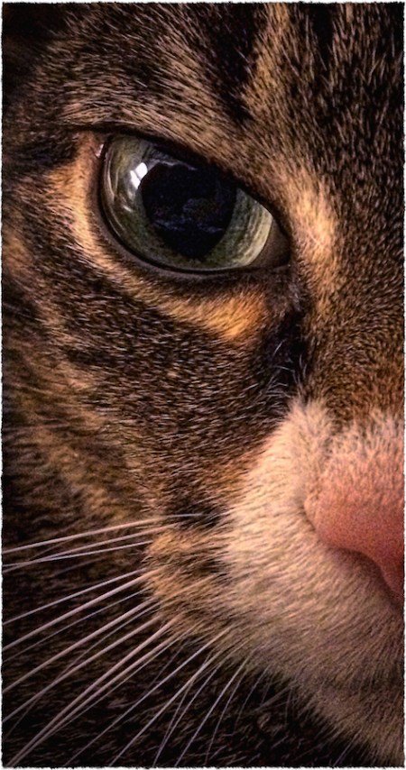 JackHalfFaceIntensify1Bokeh1bColorFilterFrayed 2