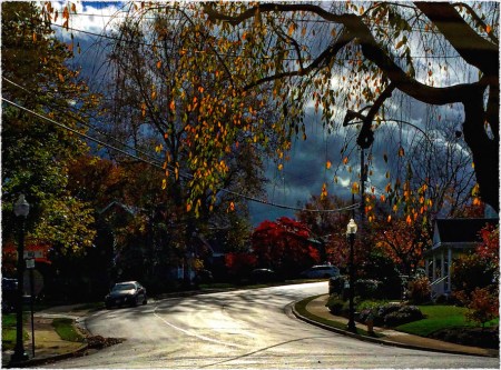 AutumnStreet1Intensify2 3SmallCrop2_2Bokeh2MidtoneSatGrainFrayedBoosted 2