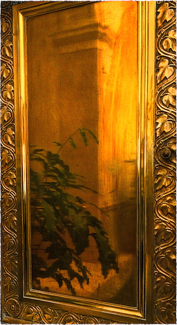 FernBronze1Intensify3Bokeh2Frayed 2