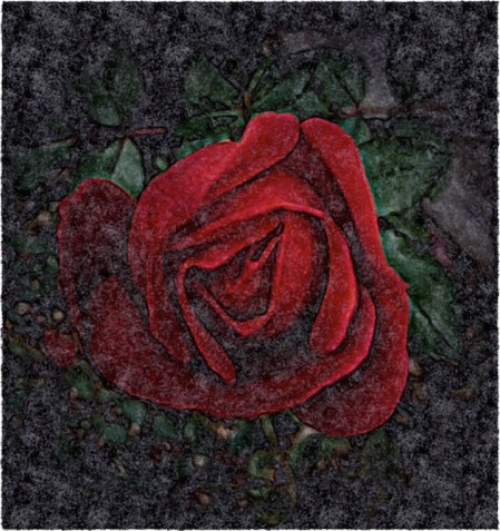 HDRRose2SnaphealMidtoneColorFilterFrayed 2