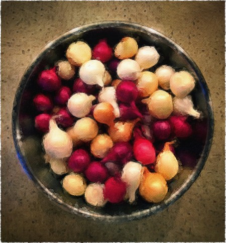 Onions2Bokeh1MidtoneFrayed 2