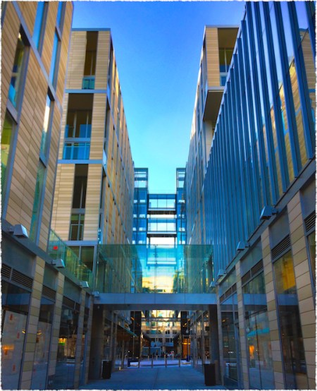 ElevatedWalkwaysBokeh1MidtoneSatVibGrainFrayed 2