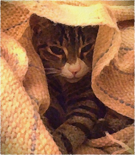 TheseAreNotTheDroidsBokeh1Frayed 2