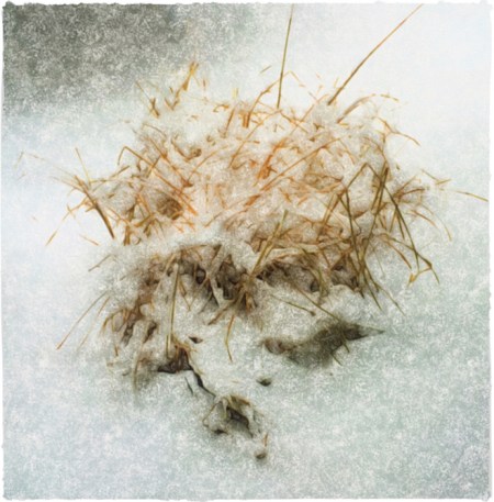 SnowGrass5Bokeh1GlowMidtoneBrushup 2