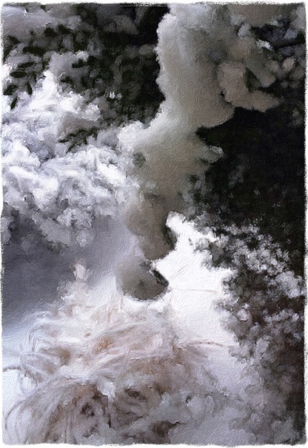 SnowHollyAzaleaGrassMidtoneBokeh1ColorFilterGrit 2