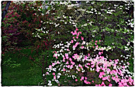 DogwoodsAppleRedbudAltCompositeSharpenGrit 2