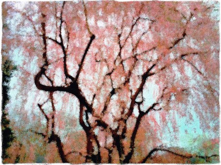 WeepingCherryPriimeVersionSnapheal2MidtoneGrit 2