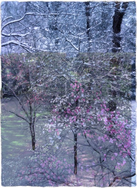 WinterIntoSpring4DoubleExposereBokeh1ColorFilterGritSnapheal