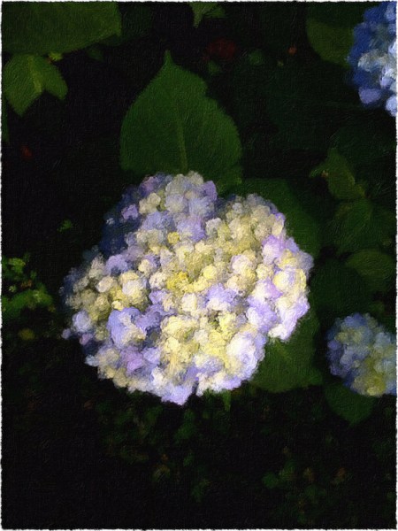 {"focusMode":1,"deviceTilt":-0.001861170926366285,"whiteBalanceProgram":0,"macroEnabled":false,"qualityMode":3}