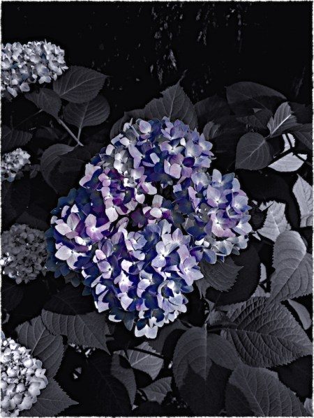 {"focusMode":1,"deviceTilt":-0.01305075089005037,"whiteBalanceProgram":0,"macroEnabled":false,"qualityMode":3}